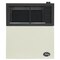 Ashley Hearth Products 11,000 BTU Direct Vent Natural Gas Wall Heater DVAG11N - alternate 1
